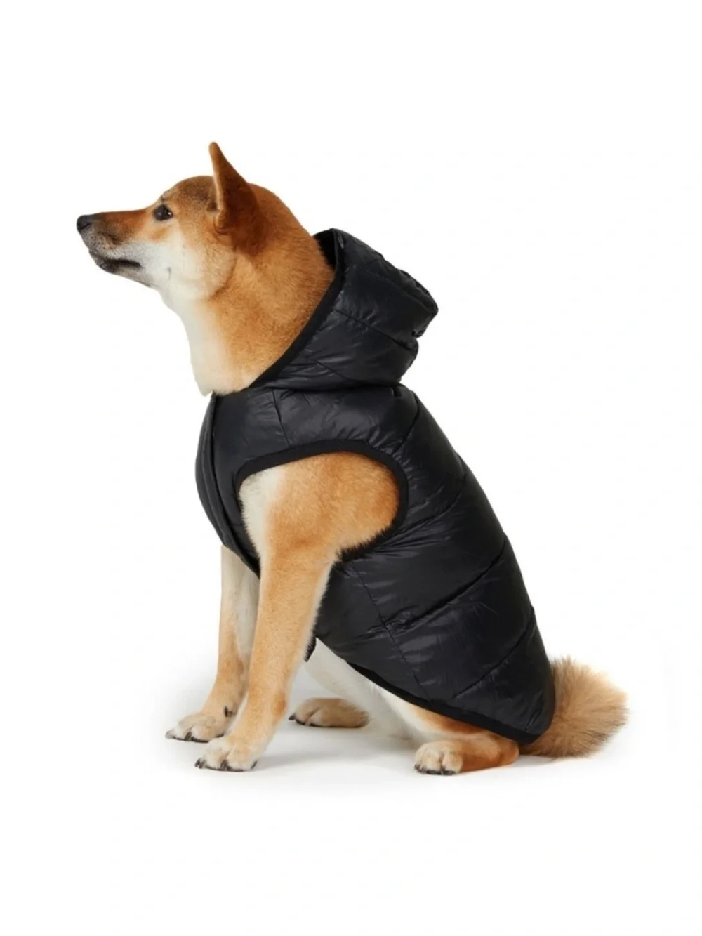 PAJAR CANADA PUP REVERSIBLE CAMOUFLAGE HOODED DOG PUFFER JACKET M